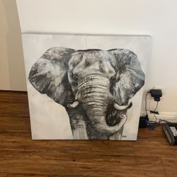 Picture Of An Elephant Watercolors