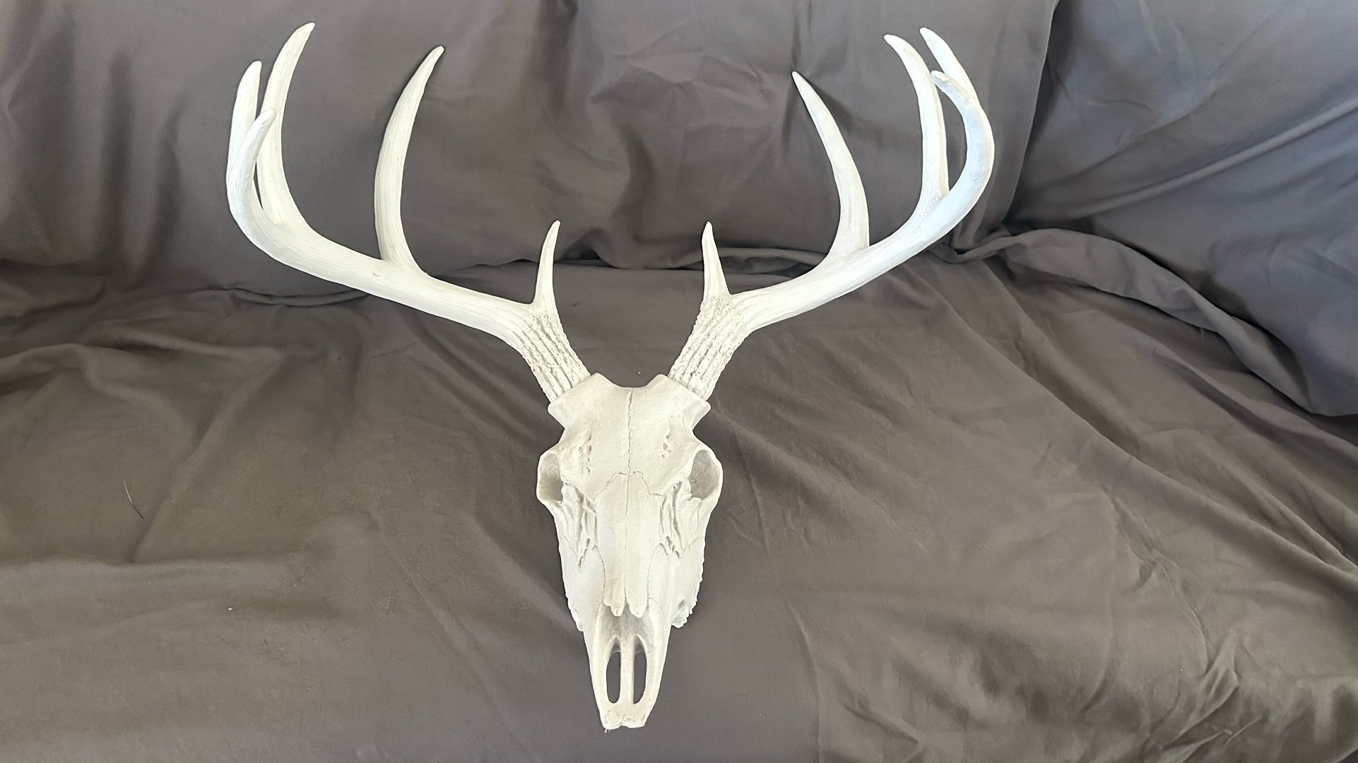 DKW Faux Taxidermy Hanging Wall Decor White Deer Head Skull 55”