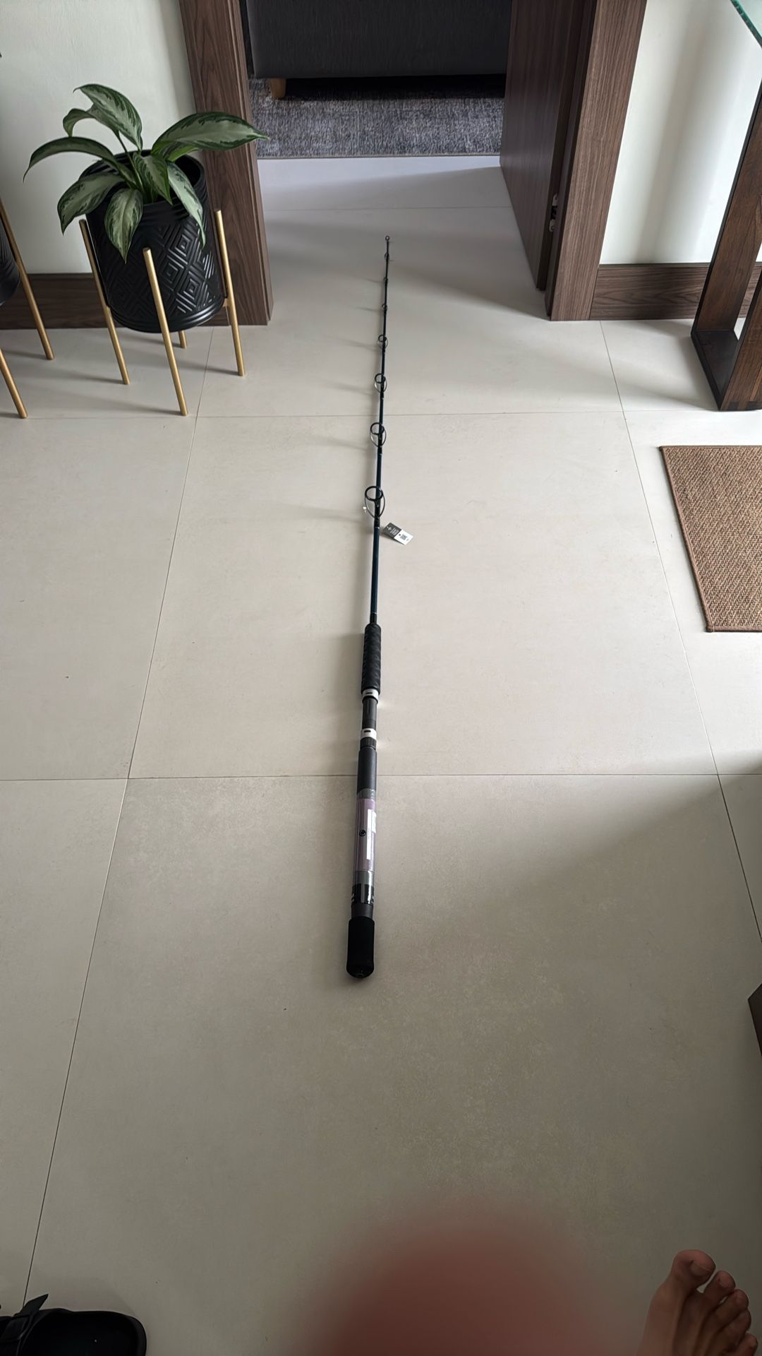 Fishing Rod