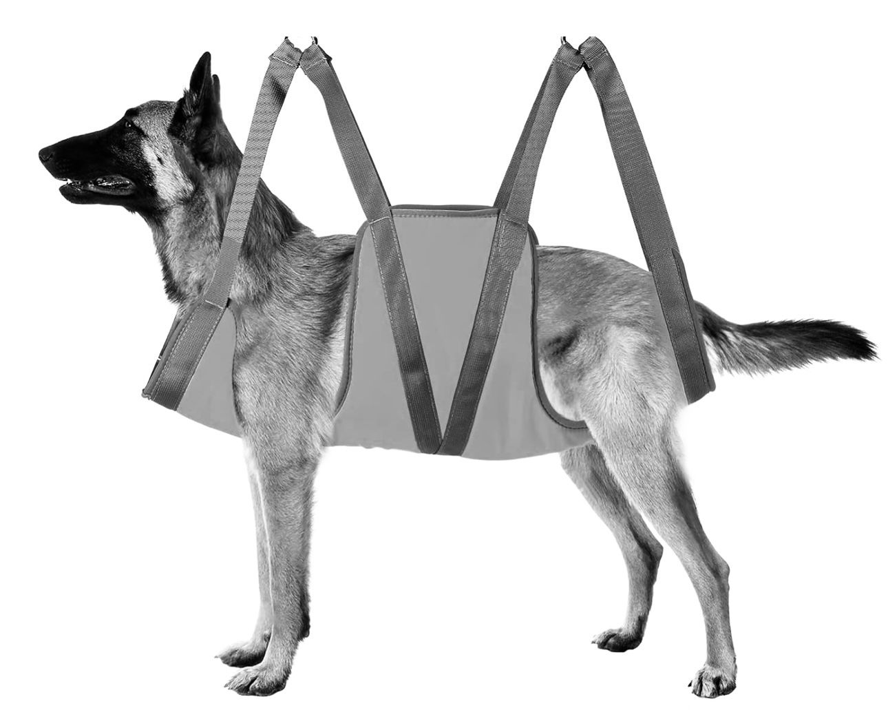 Dog Grooming Hammock, Pet Grooming Harness for Dogs&Cats, Multi Hammock Restraint Bag with Adjustable Grooming Loop/Stainless D-Hooks/Nail Clippers/Tr