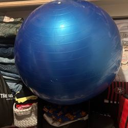 Workout ball