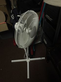 Fan