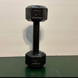 10 lb Dumbbell Single