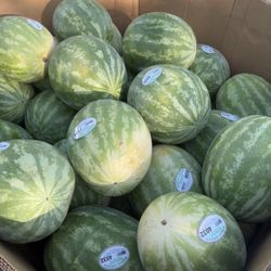 Watermelon 