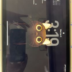 iPad Air 5th Gen 11 Inch