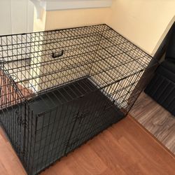 Dog Kennel, Dog House