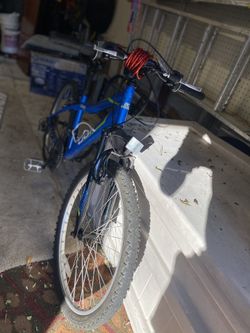 24 inch blue Dbx bike
