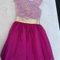 Girls Magenta Holiday Dress