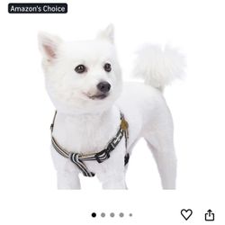 Dog Harness