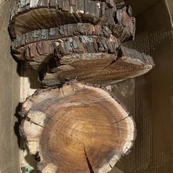 Wood Slices/center Piece 