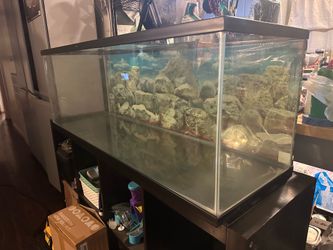 53gal tank - reptile home