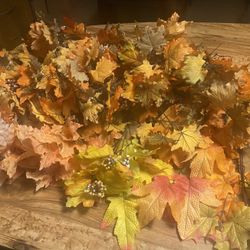 13 Artificial Leaves