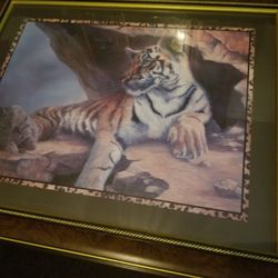 Tiger Picture- $5