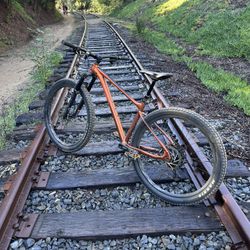 Medium 29er Trail Bike – Great Condition, SRAM Eagle, Dropper