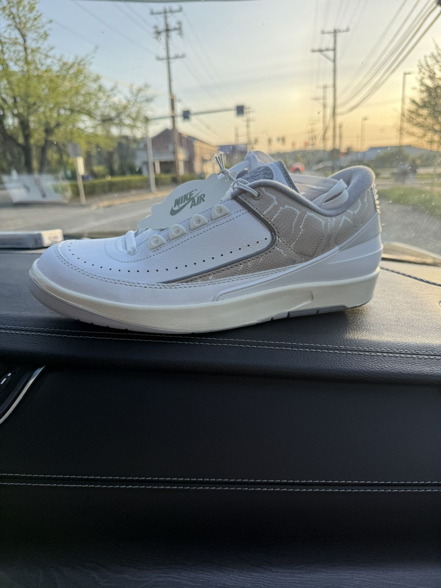 Jordan Low 2 Pythons