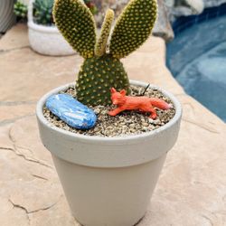 Ceramic Pot Of Cactus Bunny