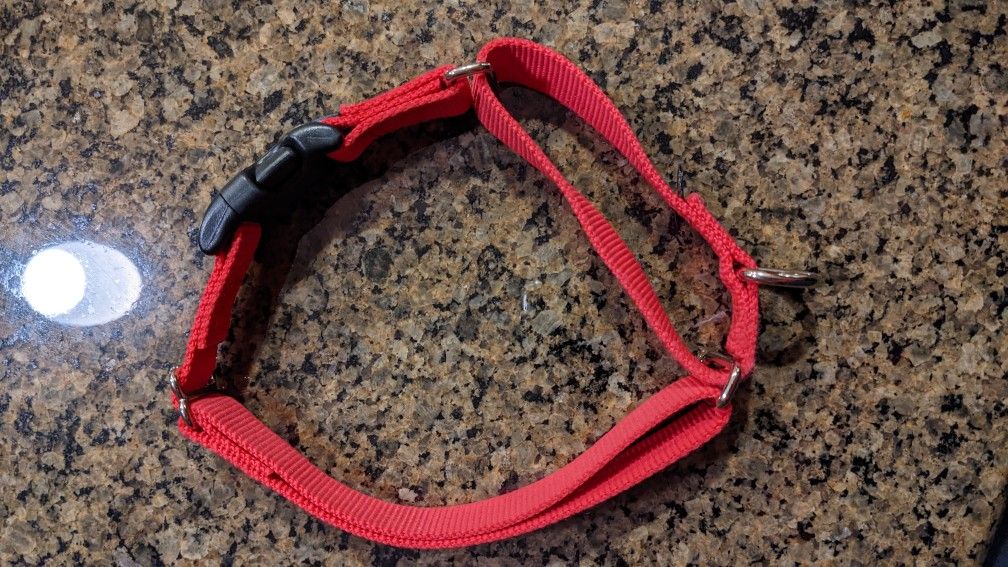 Martingale Dog Collar
