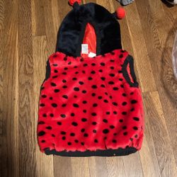 Toddler Ladybug Costume