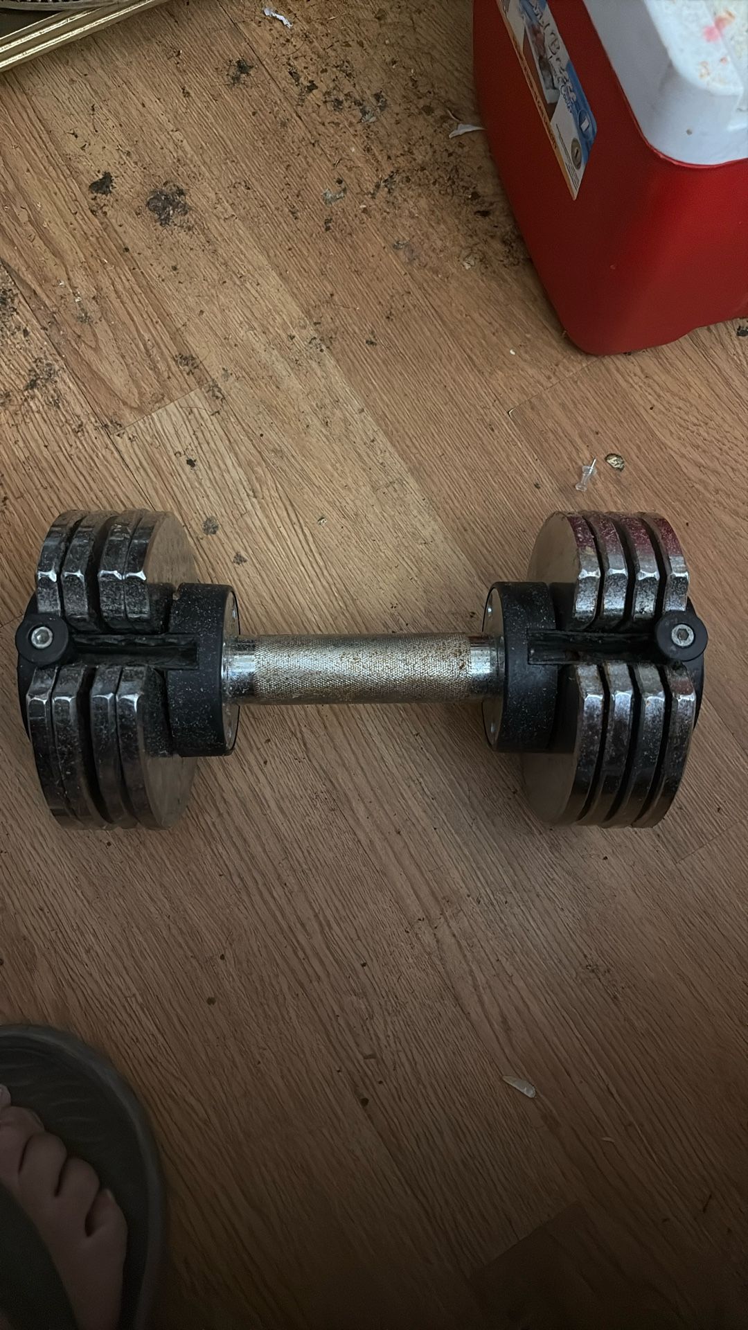10-45 Lb Adjustable Dumbed