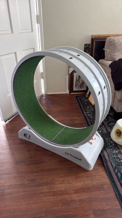 Cat treadmill