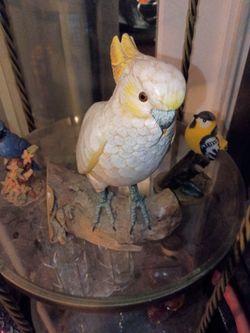 Antique statue of cockatoo