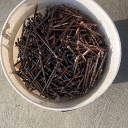 2 Gallon Bucket Of Concrete 3” Forming Nails