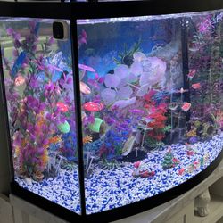 Aquarium 36 Gallons 