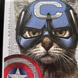 Captain America Marvel kitty Picture