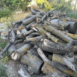 Free Fire Wood 