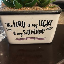 Plant Pot 