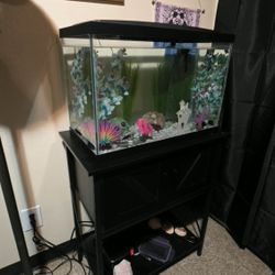 Aqueon 20 Gallon  Aquarium