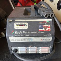 Yamaha Golf Cart 48v Battery Charger 