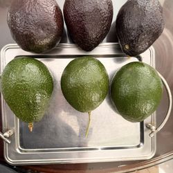 Big Avocados