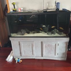 120 Gallon Fish Tank 