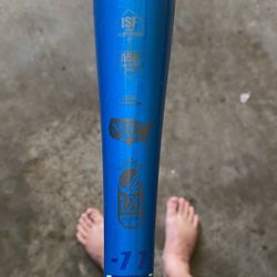 Easton Softball Bat 