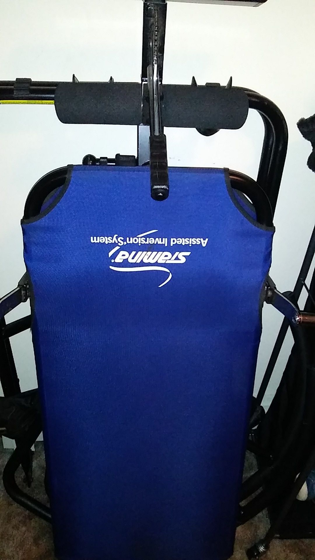 Inversion system ( Stamina 1529)