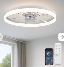 Ceiling Fan with Light