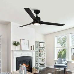 Indoor/Outdoor, 60 Inch Ceiling Fan with Light and Remote