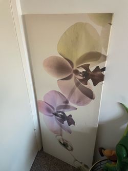 Orchid Picture - Wall Decor