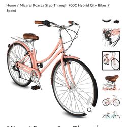 Micargi Bike