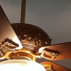 Just Reduced! Ceiling Fan