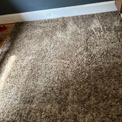 FREE 8x10 High Pile Rug, Needs Cleaning 