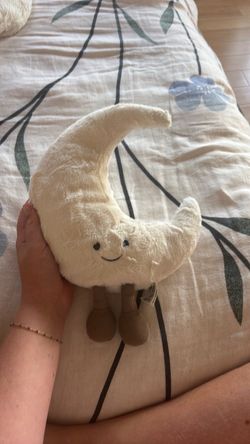 Retired jelly, cat moon