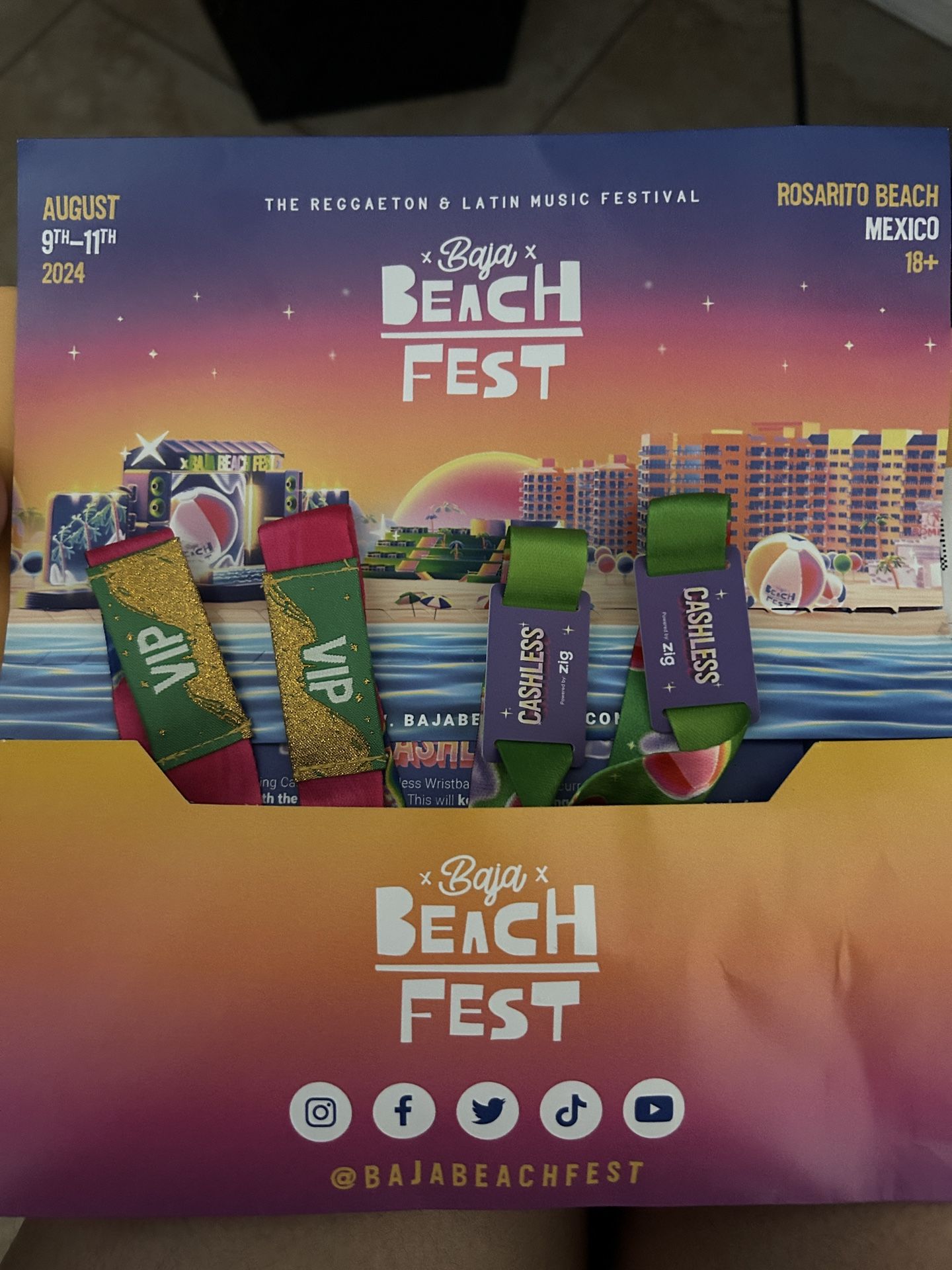 Baja beach fest, Tickets (VIP)