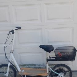 Razor Metro Ecosmart Electric Scooter (36v)