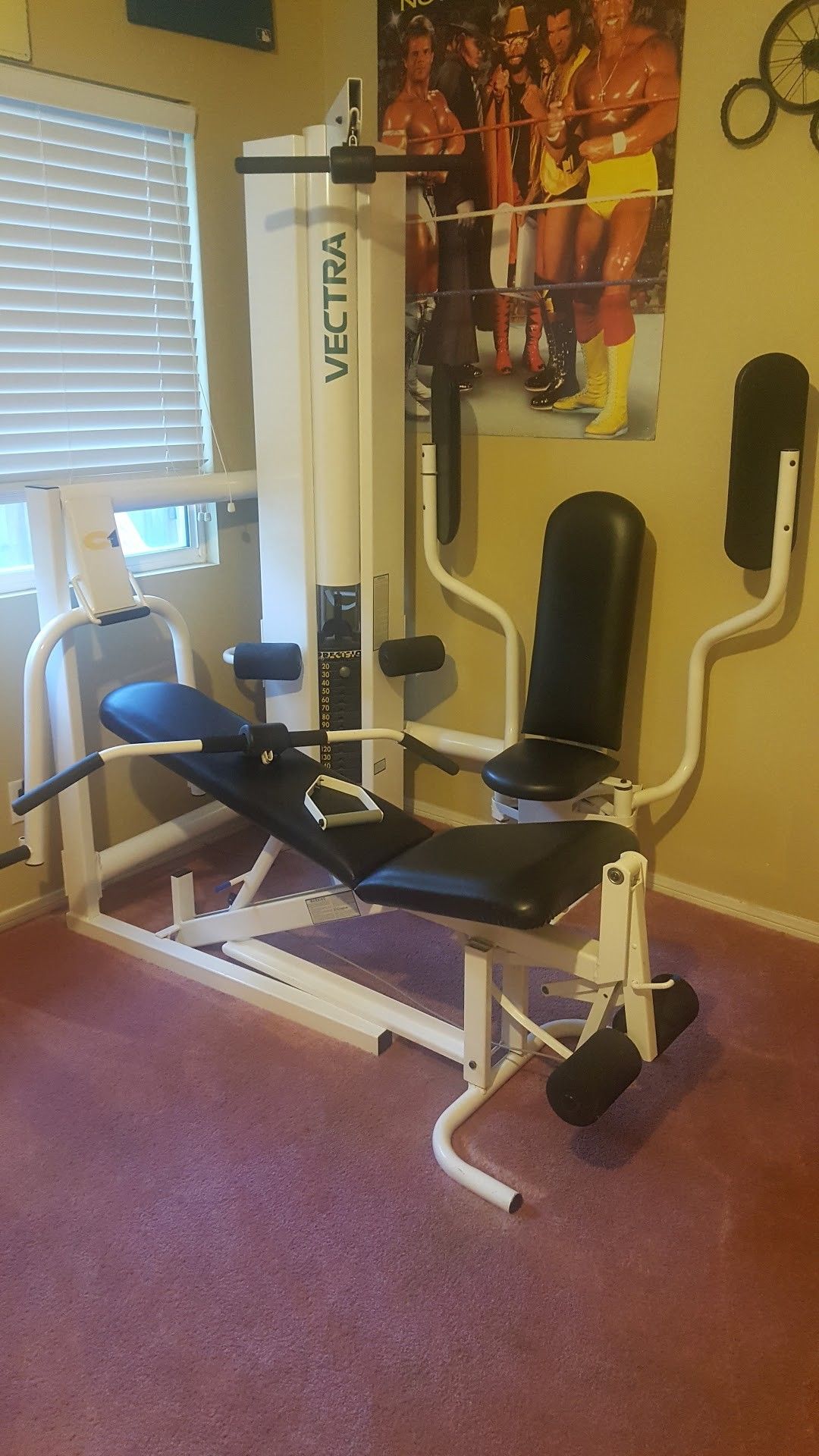 Vectra C1 Corner Home Gym for Sale in San Jacinto CA OfferUp