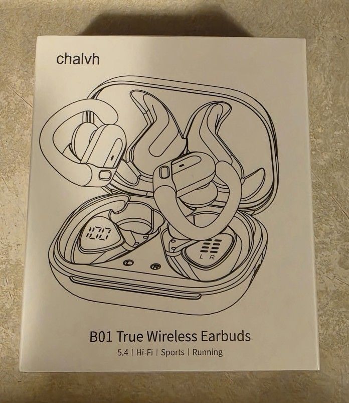 B01 True Wireless Earbuds