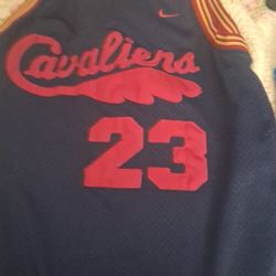 Medium LeBron Jersey 