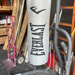 Everlast Punching Bag 