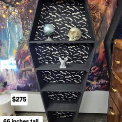 Coffin Book Case